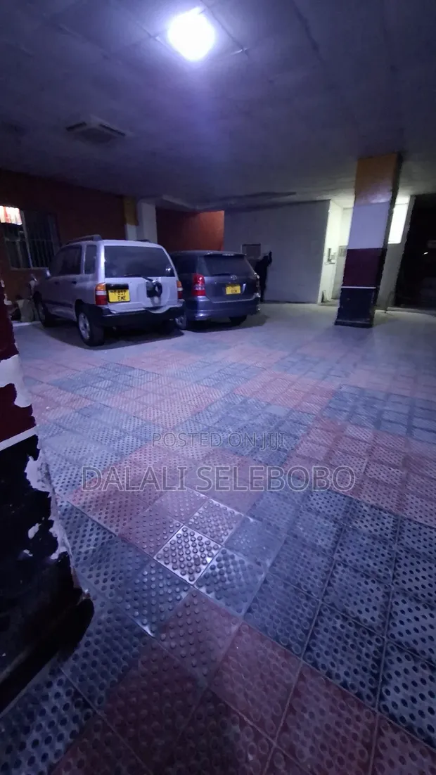 Furnished Mini Flat for Rent, Makumbusho Bus Stop - 1