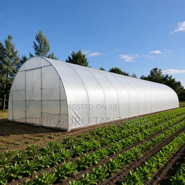 10.2m x 50m Polythene Cover for Greenhouse - 1