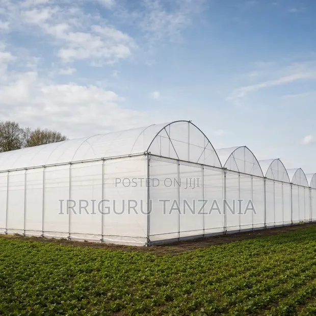 11x50mm Polythene Cover - 1