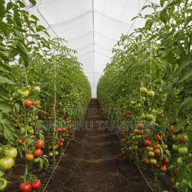 10x50m Greenhouse Materials - 1