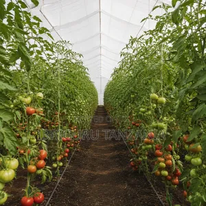 10x50m Greenhouse Materials