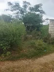 Plot for Sale in Nungwi, Zanzibar - 5