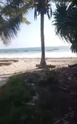 Beach Plot for Sale - Uroa, Zanzibar - 2
