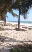 Beach Plot for Sale - Uroa, Zanzibar - 3