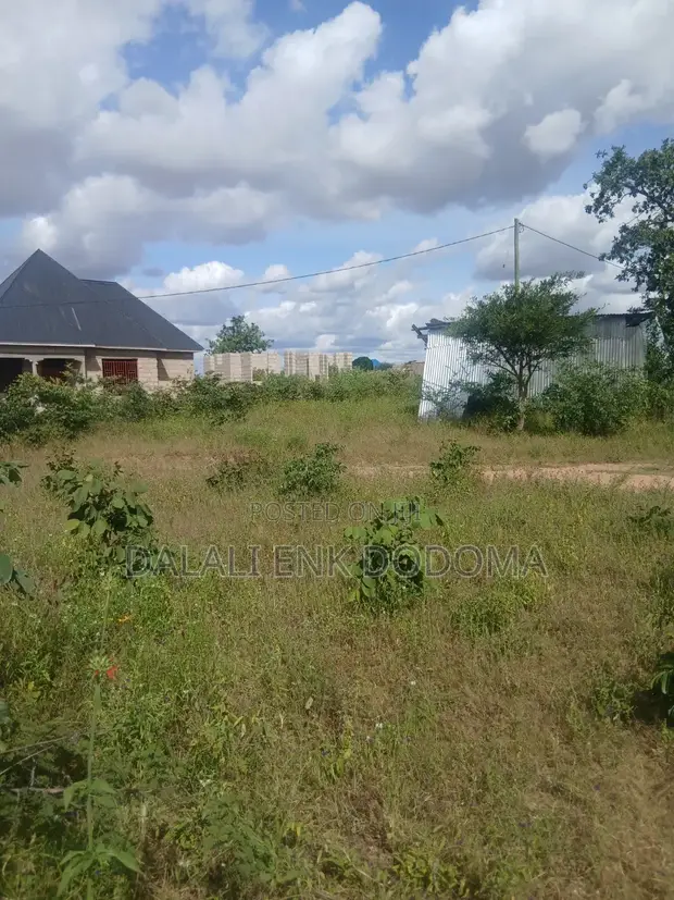 Land for Sale in Nala Mizani - 1