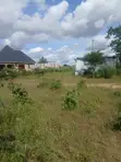 Land for Sale in Nala Mizani - 1