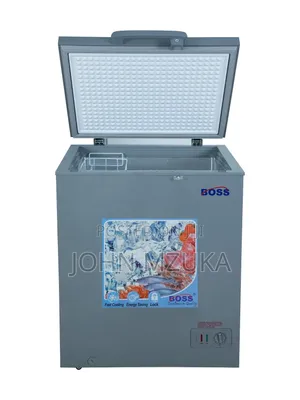 Boss Freezer BE 100SS - 100 Liters