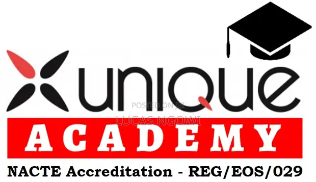 ICT Lecturer at Unique Academy - 1