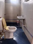 2 Bedroom Apartment for Rent in Mikocheni - 1