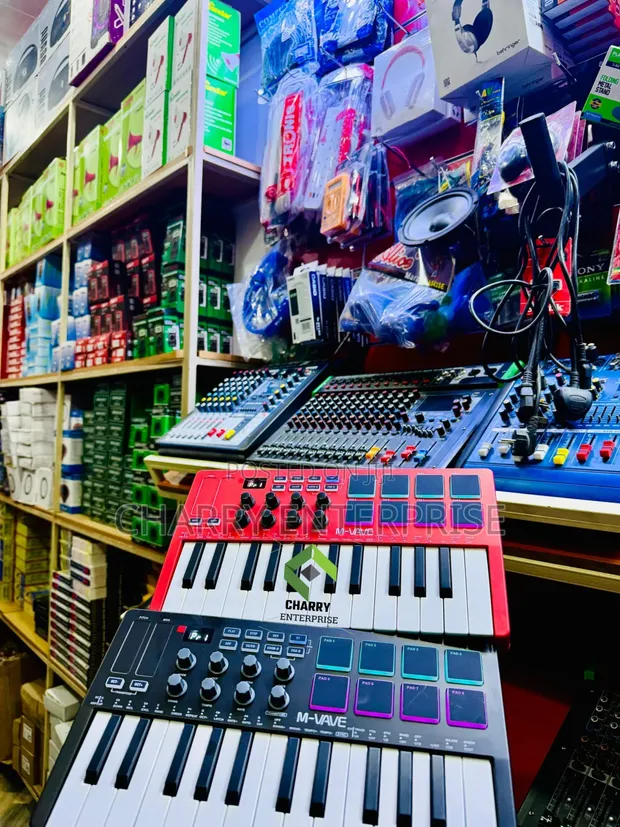 Rechargeable 25-Key Midi Keyboard for Studio - 1