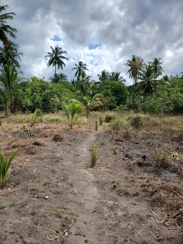 Eneo la Kilimo la Eka 3 kwa Mauzo - Yombo Bagamoyo - 1