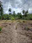 Eneo la Kilimo la Eka 3 kwa Mauzo - Yombo Bagamoyo - 1