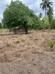 Eneo la Kilimo la Eka 3 kwa Mauzo - Yombo Bagamoyo - 2