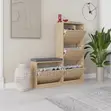 Dude Shoe Cabinet - 3