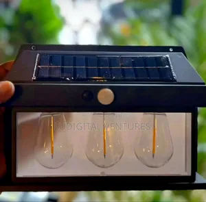 Triple Bulb Solar Outdoor/Indoor Lights