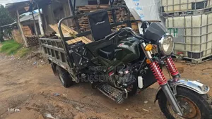 New Sinoray SR250-Q7 2024 Scooter - Green