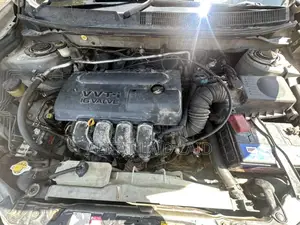 Toyota Voltz 2004 Nyeupe
