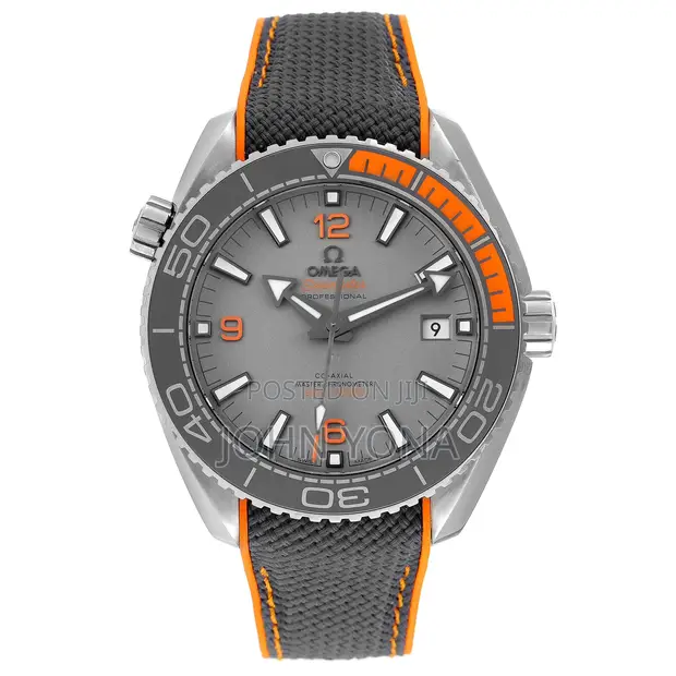 Omega Seamaster Planet Ocean 600M Watch - 1