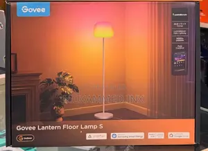 Govee Lantern Floor Lamp S