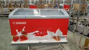 Snowsea Freezer 470L