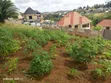 Prime Plot for Sale in Bonyokwa, 441 sqm - 3