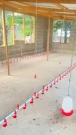 30m Pipe Washer for Cages and Submersible Systems - 2