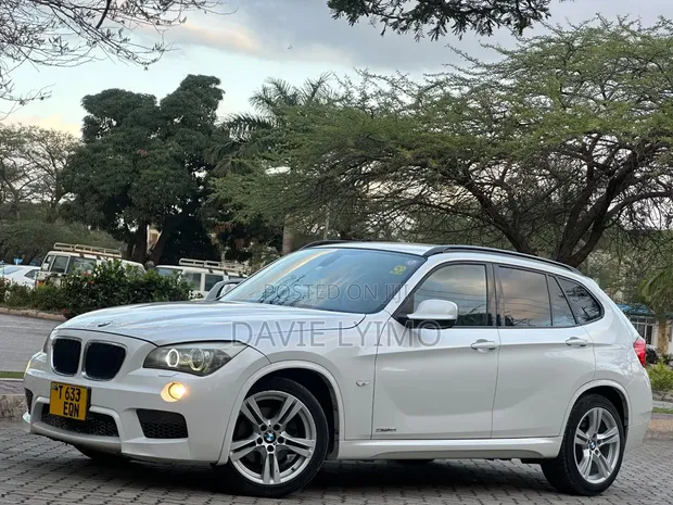 BMW X1 2011 sDrive 18i M Sport - 1