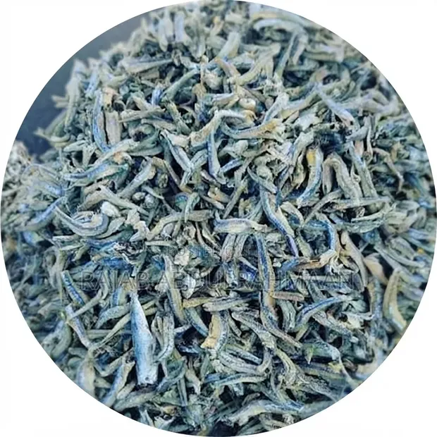 Fresh Dagaa Fish - Wholesale Price per Debe from Mafia - 1