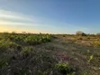 Residential Plot for Sale - Makunduchi, Zanzibar - 3