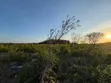 Residential Plot for Sale - Makunduchi, Zanzibar - 5