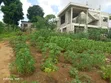Residential Plot for Sale - Bonyokwa, 441 sqm - 2