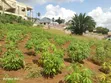 Residential Plot for Sale - Bonyokwa, 441 sqm - 3