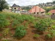 Residential Plot for Sale - Bonyokwa, 441 sqm - 5