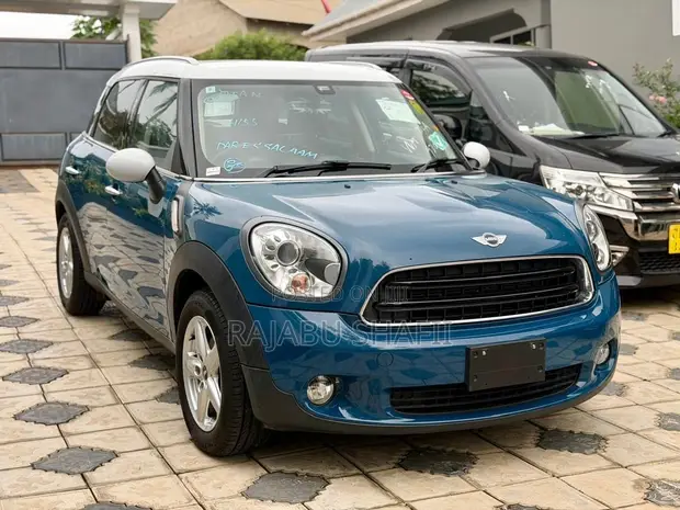 Mini Countryman 2012 Blue - 1