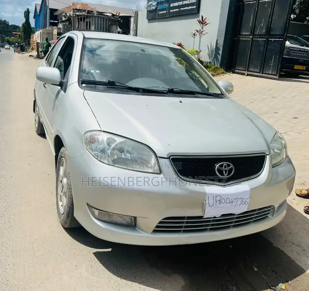 Toyota Vios 2003 Gray - 1