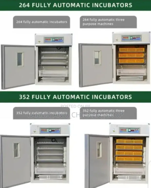 Egg Incubator - 264 Egg Capacity - 1
