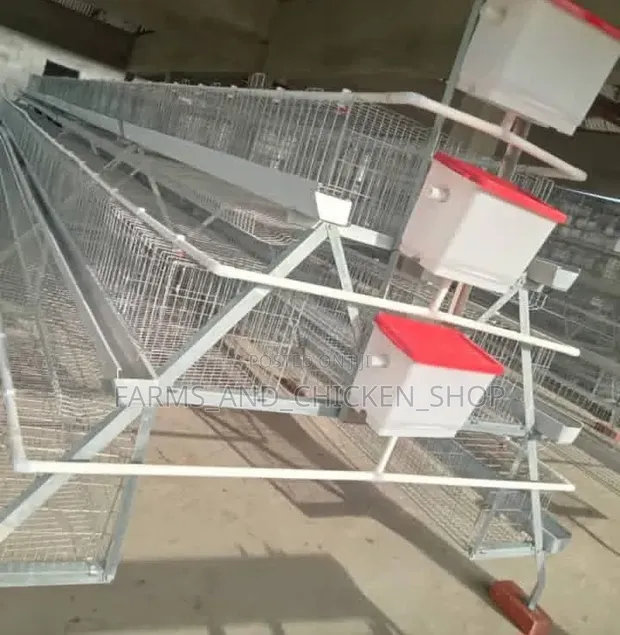 Chicken Cage 120cm - 1