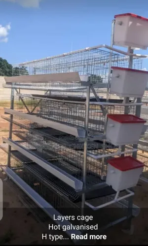 Broiler Cage for 128 Chickens