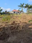 Residential Plot for Sale in Goba - 5