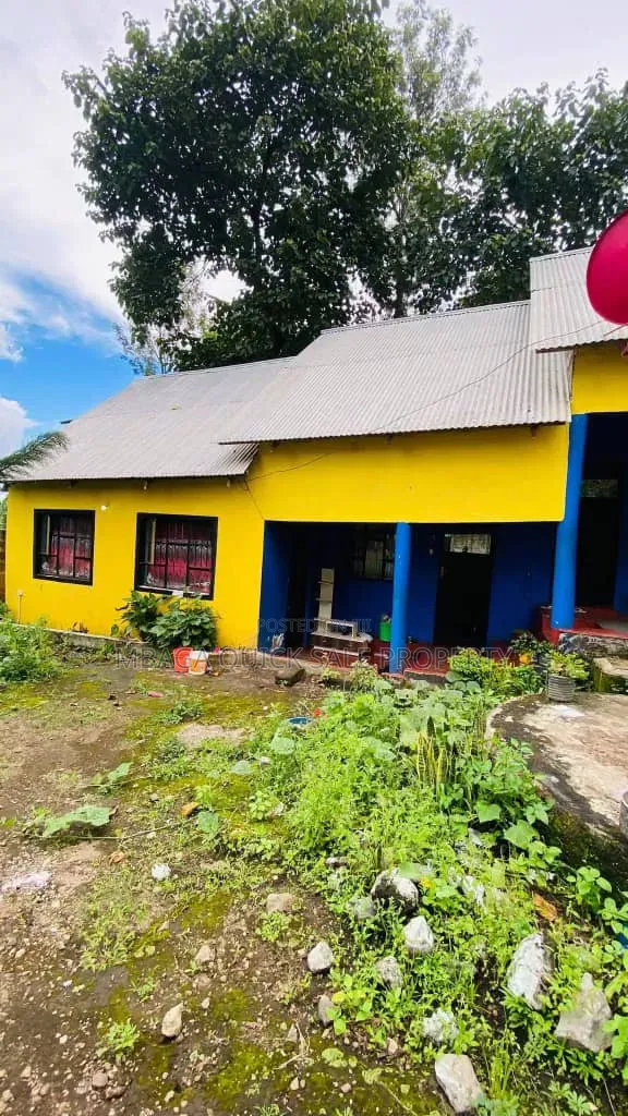 Furnished 5-Bedroom House for Sale in Central Business Area - 1