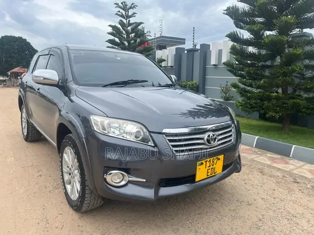 Toyota Vanguard 2009 Gray - 1