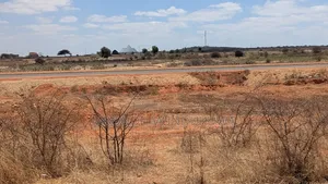 Prime Plot for Sale - Dodoma Ringroad, Buigiri