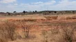 Prime Plot for Sale - Dodoma Ringroad, Buigiri - 1