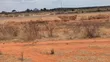 Prime Plot for Sale - Dodoma Ringroad, Buigiri - 2