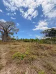 Kiwanja Kipya Karibu Na Beach - Mapinga - 4