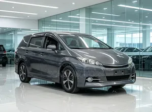Toyota Wish 2013 Metallic Gray