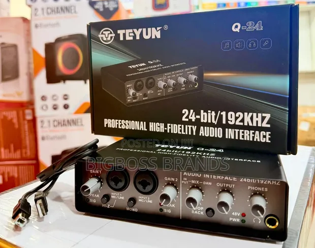 TEYUN 2-Way Professional High-Fidelity Audio Interface - 1