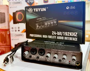 TEYUN 2-Way Professional High-Fidelity Audio Interface