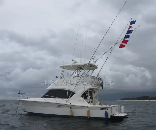 37ft Riviera Flybridge Sports Fisher - 1