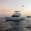 37ft Riviera Flybridge Sports Fisher - 5